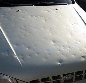 Sterling ford hail damaged cars #4
